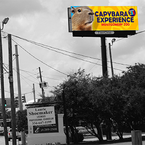 billboard location
